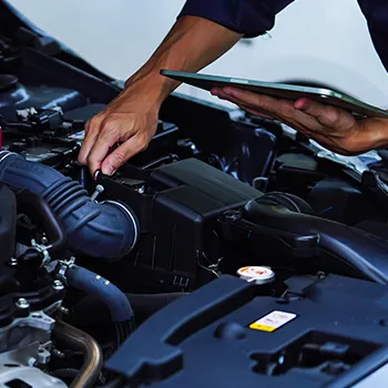 seasonal inspections 02